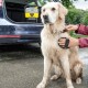 Karcher Pet Accessories Box - OC3 | 2.643-859.0 Karcher Pet Accessories Box - OC3 | 2.643-859.0